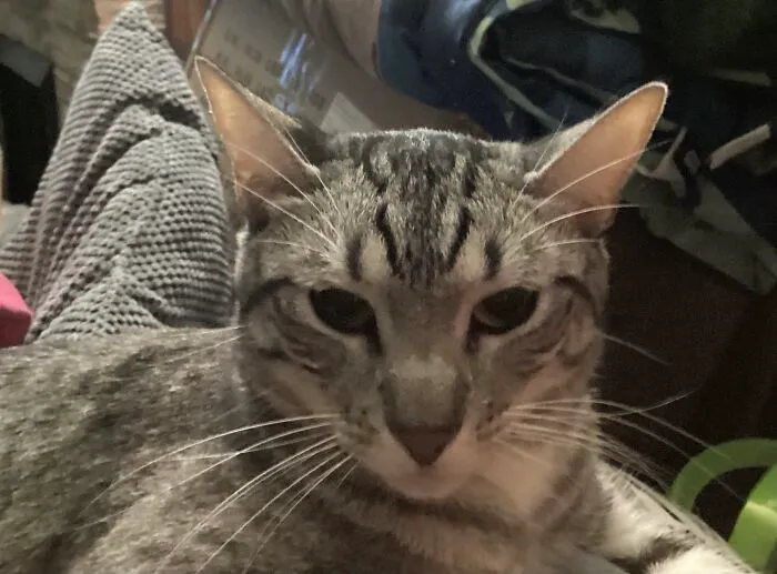 Charlie The Crazy One