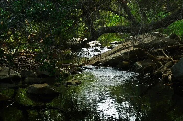 Elfin Forest, California, USA