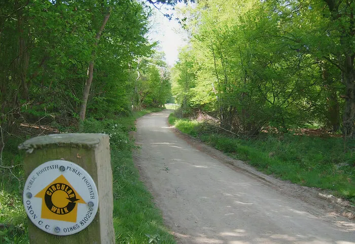 the pointer near the path into the forest
