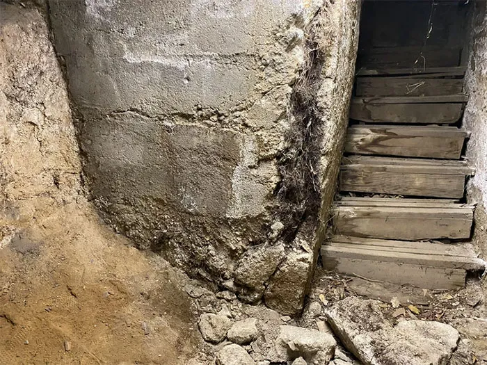 35 "Pesadillas" y "milagros" descubiertos durante inspecciones estructurales (nuevas fotos)