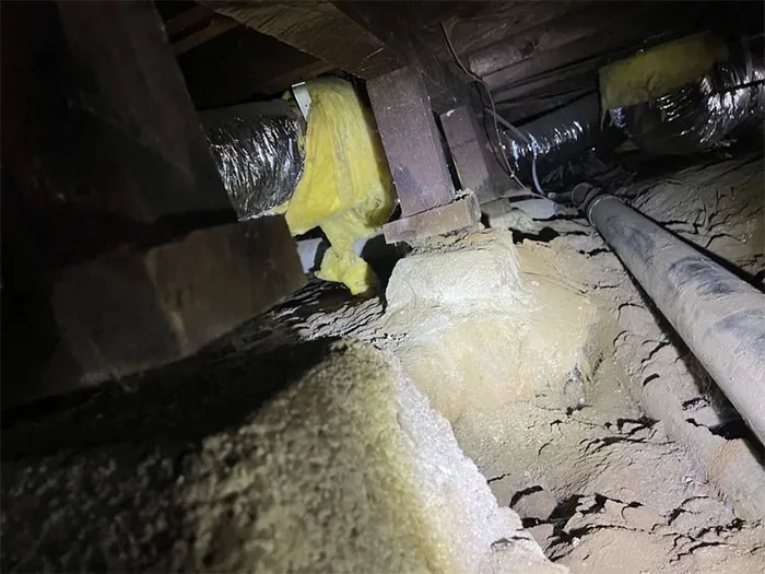 35 "Pesadillas" y "milagros" descubiertos durante inspecciones estructurales (nuevas fotos)