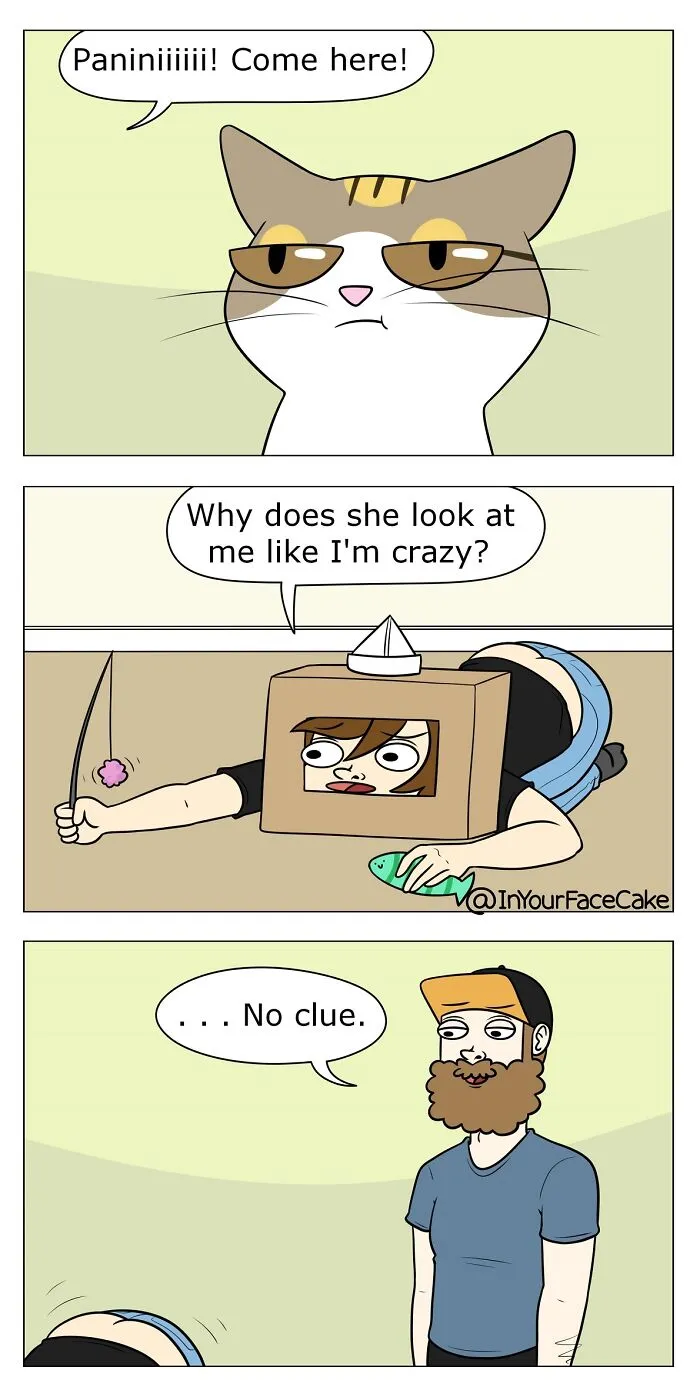 Artist Makes Comics About Her Daily Life With A Boyfriend And A Cat, And Here Are The Best 40 Comics (New Pics)