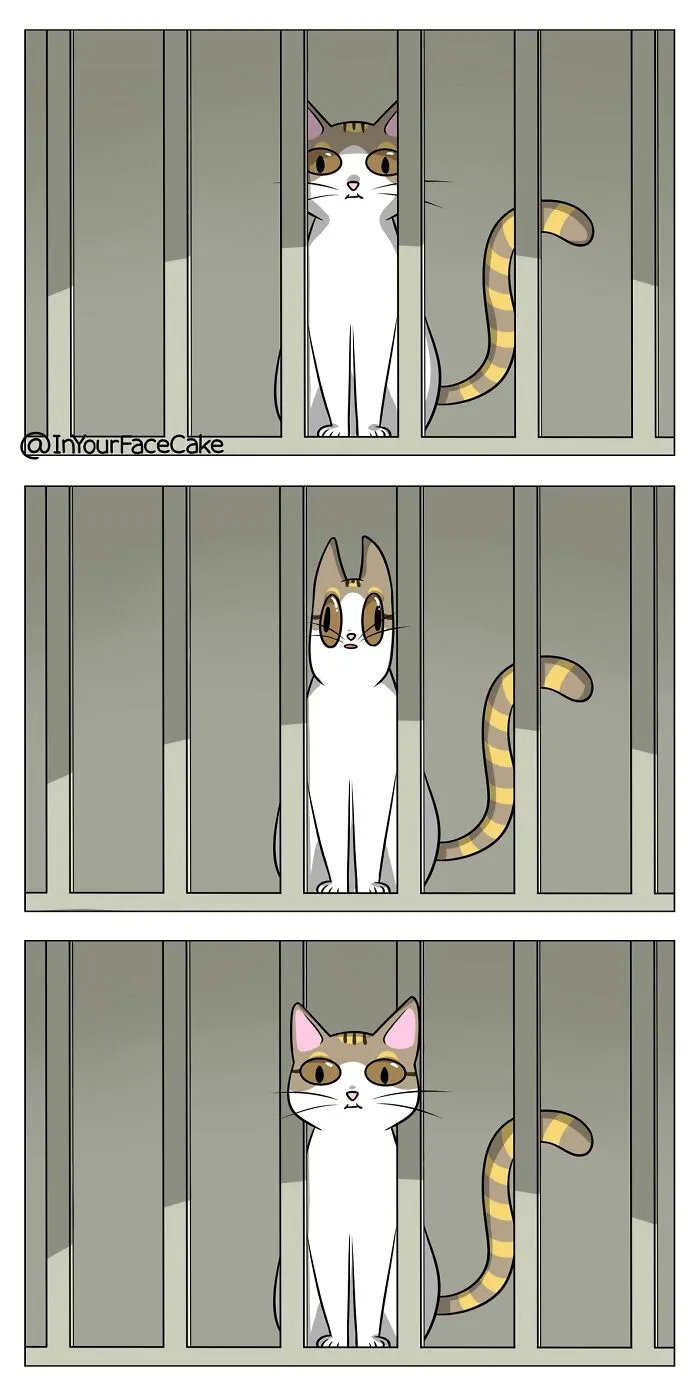 Artist Makes Comics About Her Daily Life With A Boyfriend And A Cat, And Here Are The Best 40 Comics (New Pics)