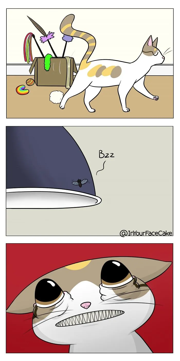 Artist Makes Comics About Her Daily Life With A Boyfriend And A Cat, And Here Are The Best 40 Comics (New Pics)