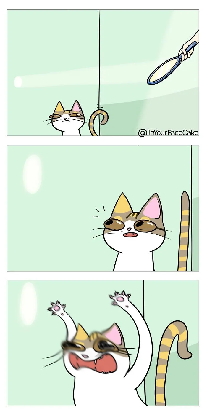 Artist Makes Comics About Her Daily Life With A Boyfriend And A Cat, And Here Are The Best 40 Comics (New Pics)