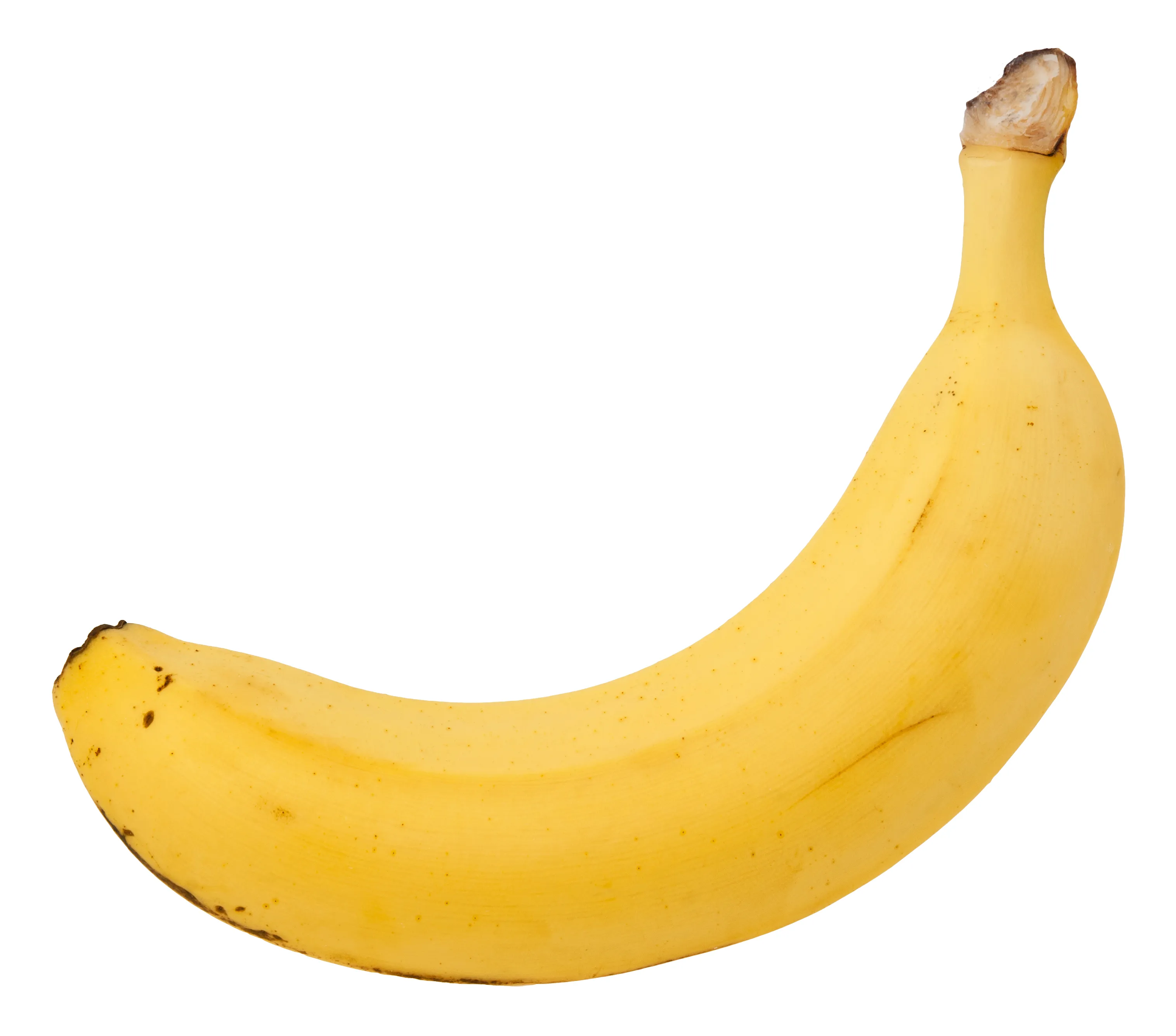 Hey Pandas, Make A Funny Pictue With A Banana For Scale.