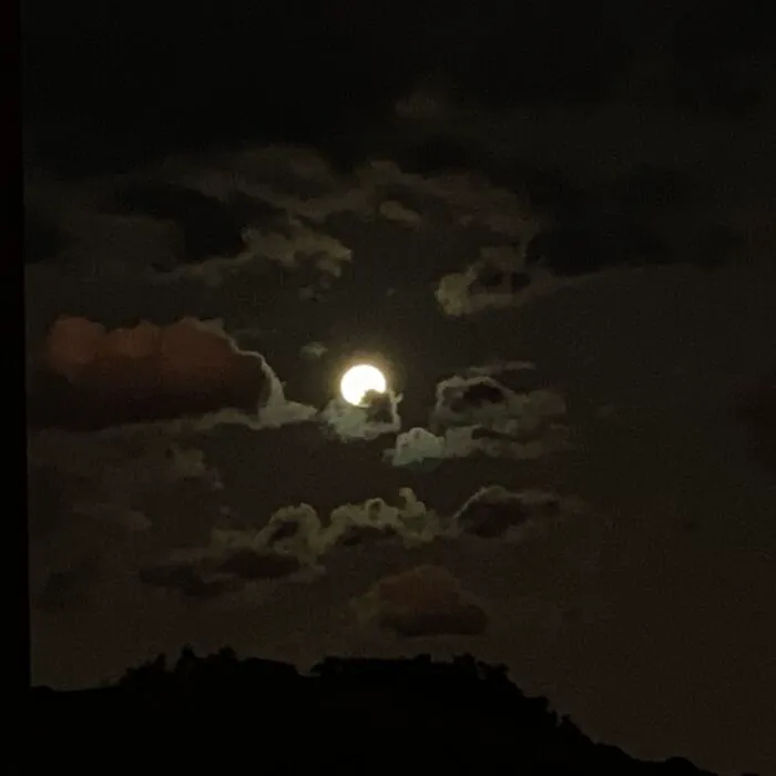 The Moon
