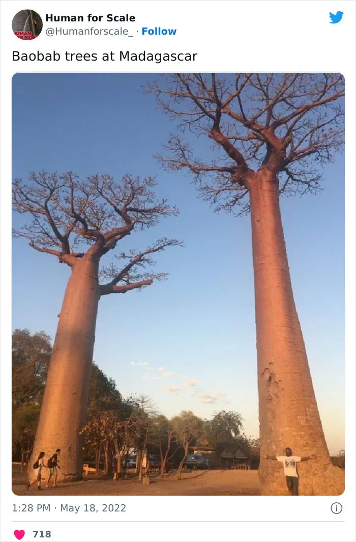 40 Photos With Humans For Scale To Show Just How Big Stuff Really Is, As Shared On This Twitter Page