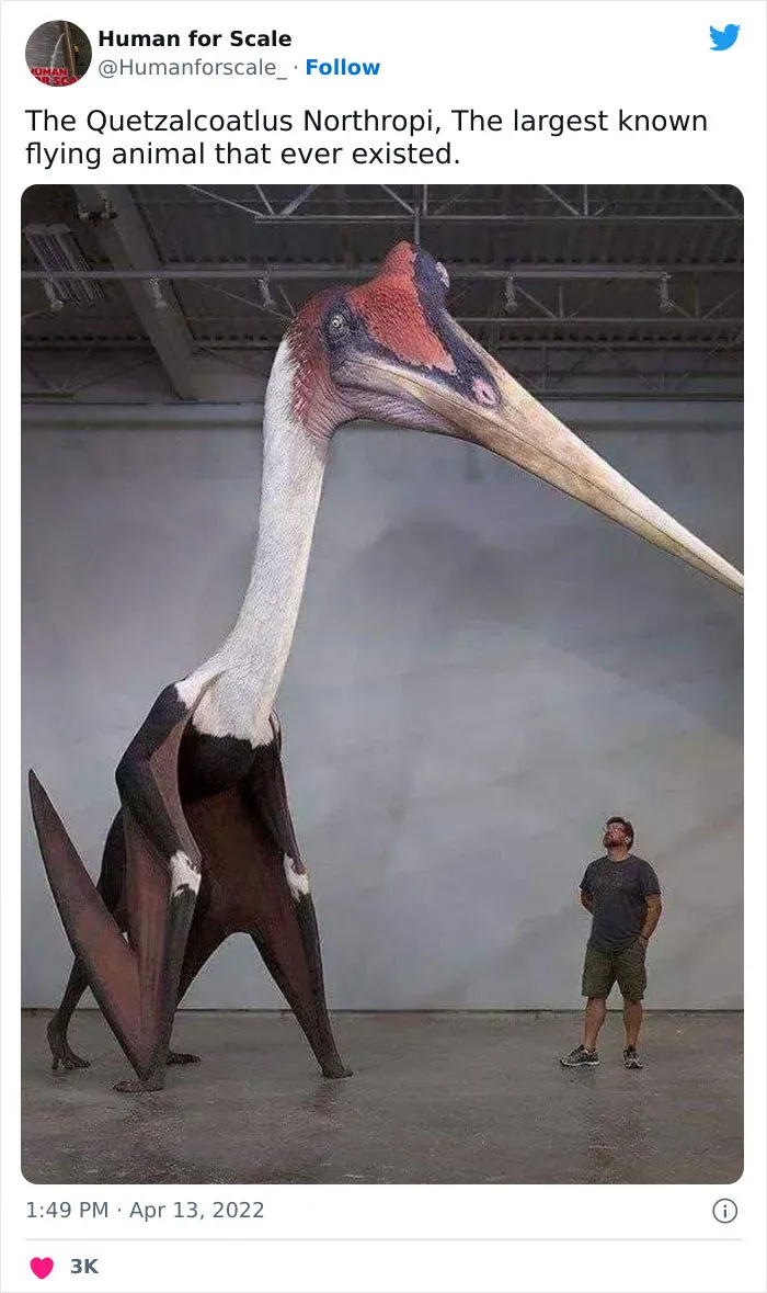 40 Photos With Humans For Scale To Show Just How Big Stuff Really Is, As Shared On This Twitter Page