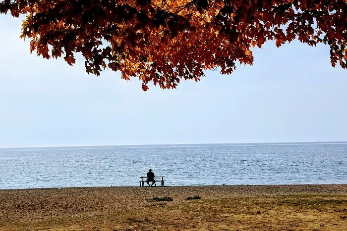 Serenity