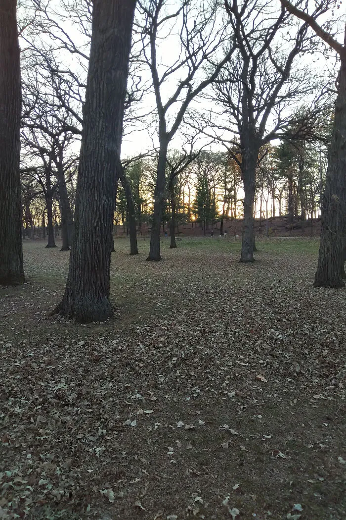 Dusk In Illinois