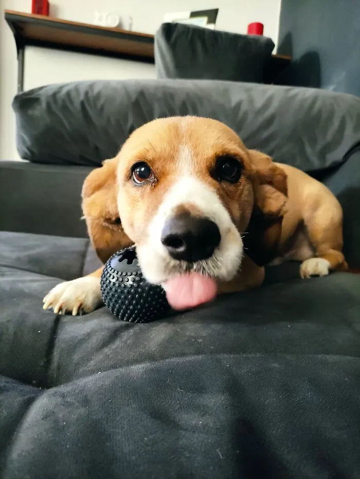 Look At Me!!!