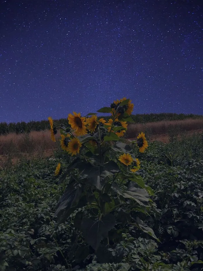 I Photographed This Ukrainian Village Because It Is My Solace That Inspires Me (30 pics)