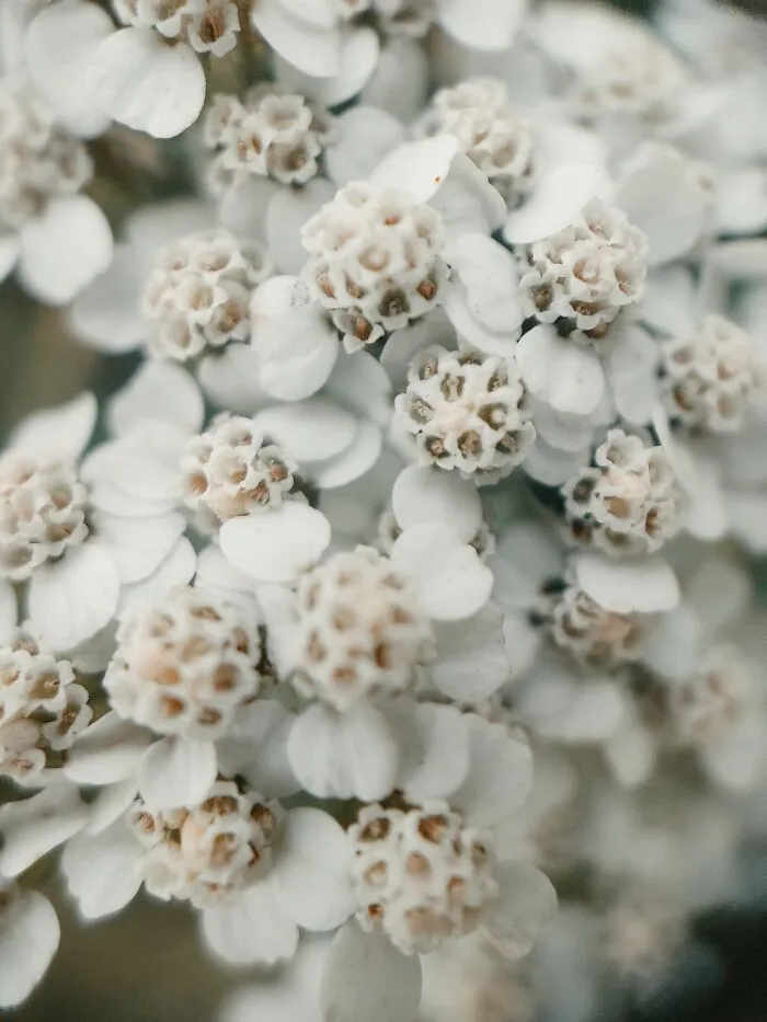 I Photographed This Ukrainian Village Because It Is My Solace That Inspires Me (30 pics)