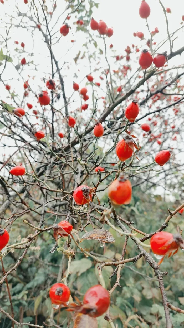 I Photographed This Ukrainian Village Because It Is My Solace That Inspires Me (30 pics)