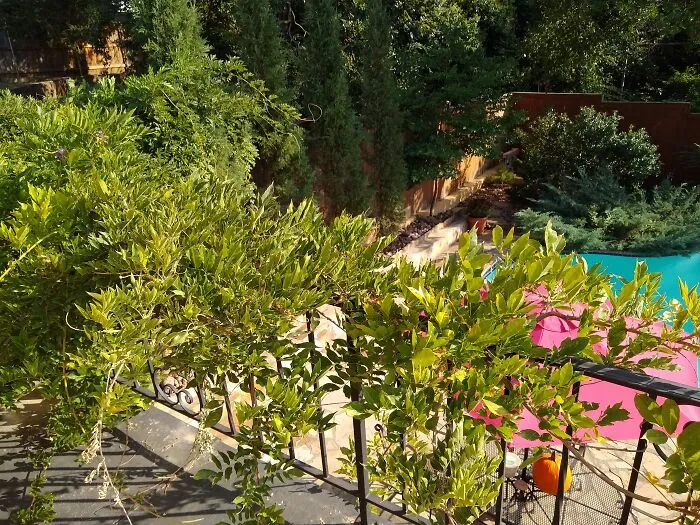 One Of The Views From An Airbnb We Stayed At