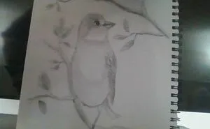 My Art