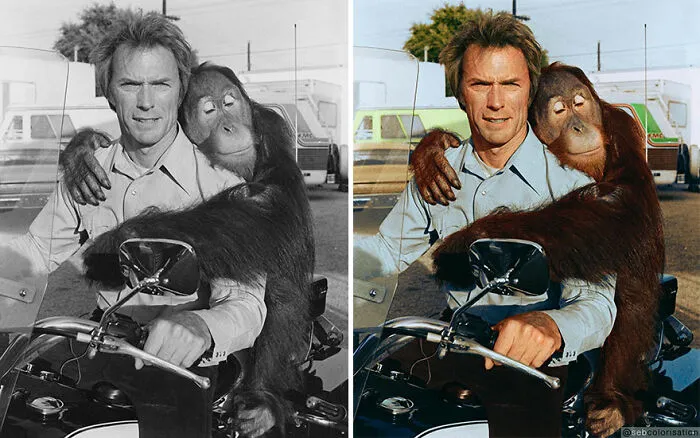Manis el Orangután y Clint Eastwood, detrás de las escenas de la película "Duro de pelar" por James Fargo (1978)