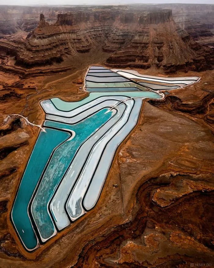Miracle In The Desert