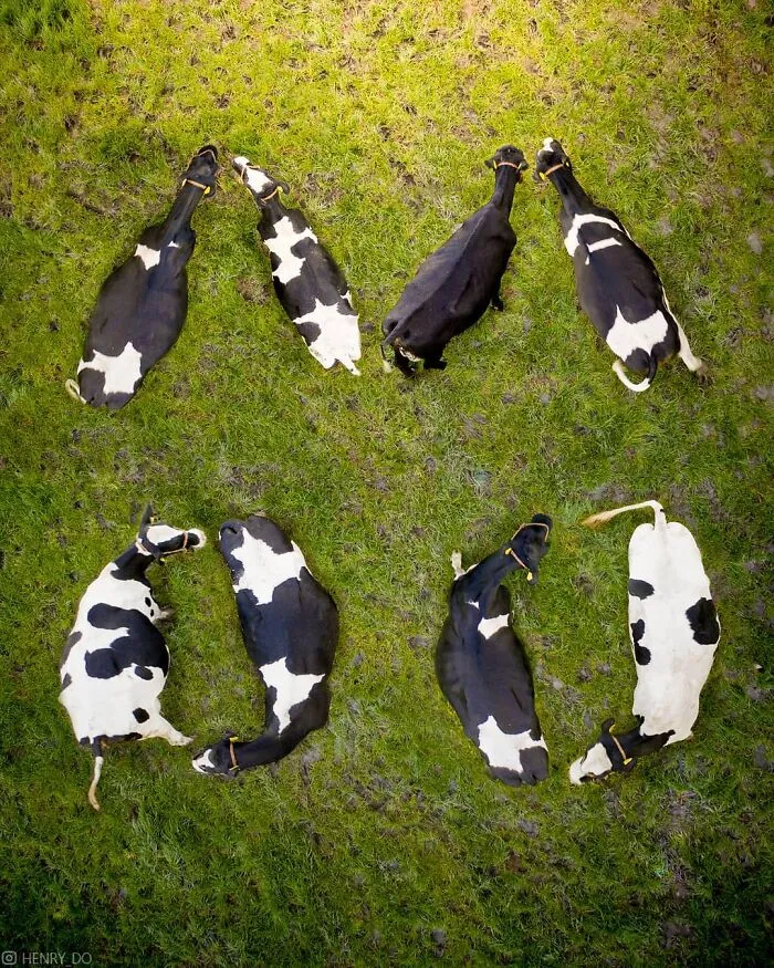 Here Are 30 Incredible Split Images Taken By A Professional Photographer From An Aerial Point Of View