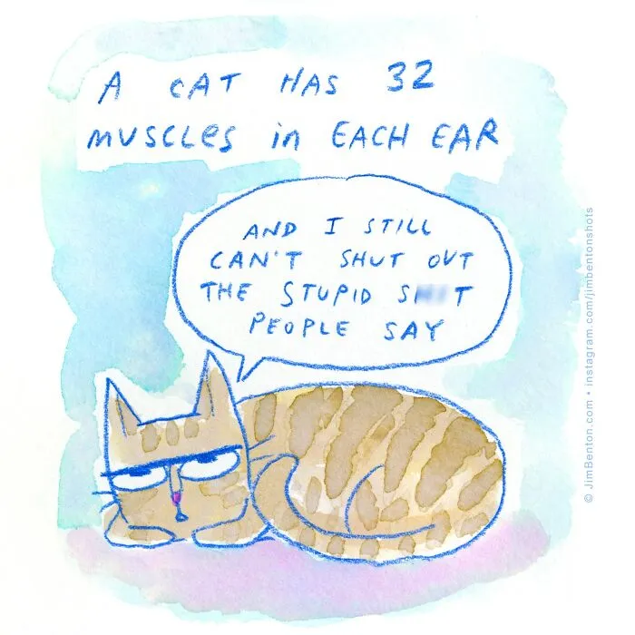 Artist Creates Funny Comics In Hopes Of Sharing A Laugh With Somebody (50 New Pics)