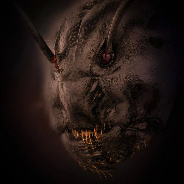 Imagen Destacada - Dr. Eugenijus Kavaliauskas
