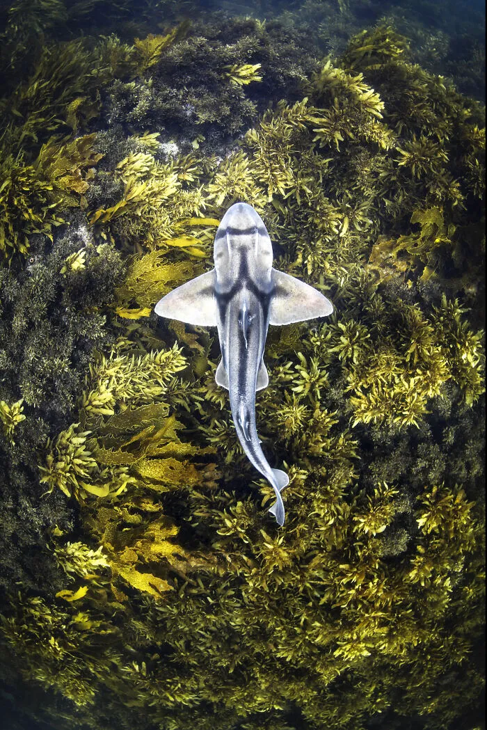 Finalist, Fine Art Photographer Of The Year
