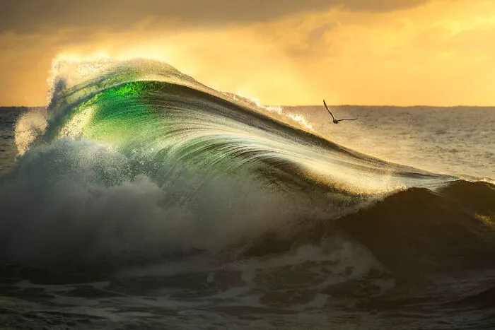 Finalist, Fine Art Photographer Of The Year