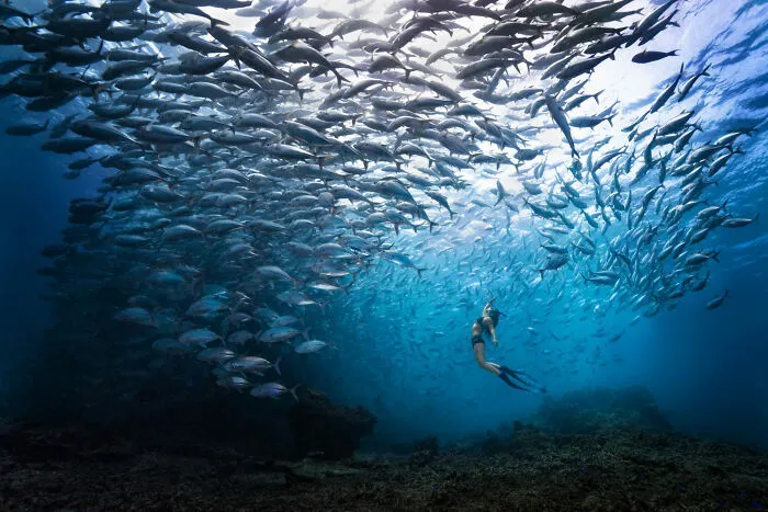 Finalista, fotógrafo de aventura del año
