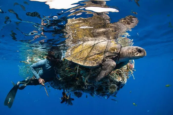 2nd Place, Human Connection Award: People & Planet Ocean