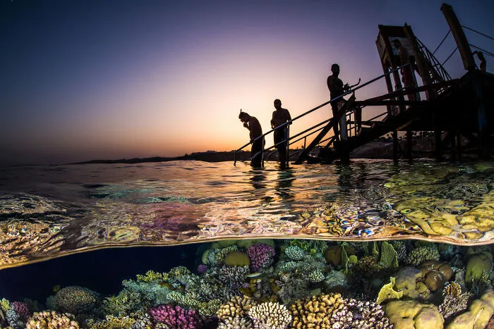 Finalist, Human Connection Award: People & Planet Ocean