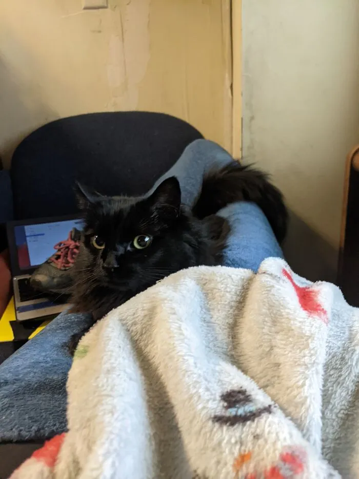 Nyx
