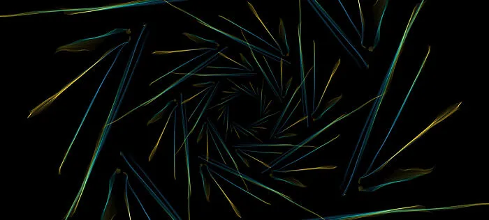 Peacock Universe