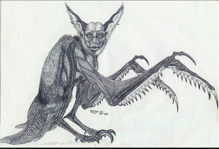 Velocichirophter