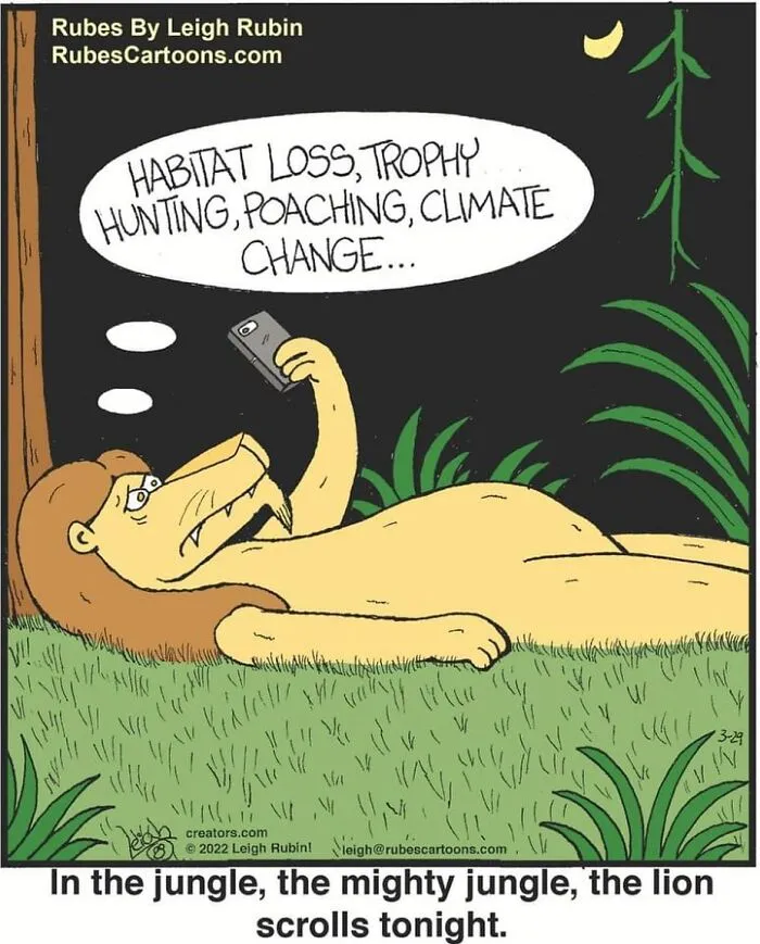 50 Humorous And Silly Comics By Rubes Cartoons