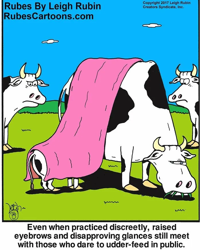 50 Humorous And Silly Comics By Rubes Cartoons