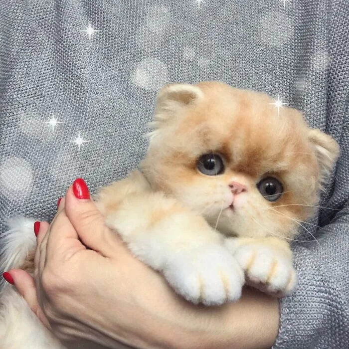 41 Miniature Animal Sculptures From Wool Made By This Artist