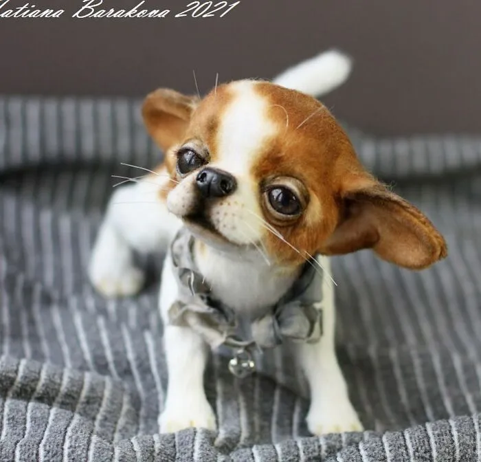 41 Miniature Animal Sculptures From Wool Made By This Artist