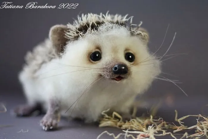 41 Miniature Animal Sculptures From Wool Made By This Artist