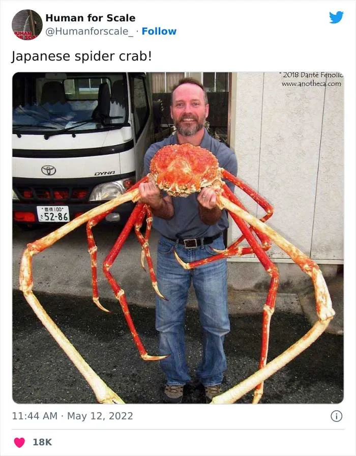 40 Photos With Humans For Scale To Show Just How Big Stuff Really Is, As Shared On This Twitter Page