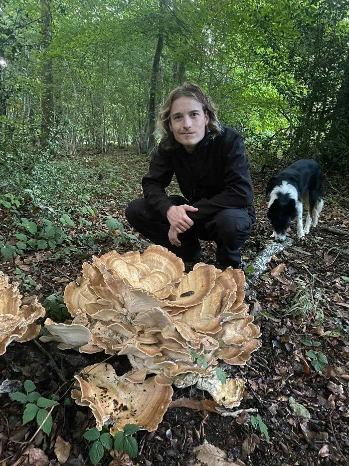 Found The Biggest Mushroom I've Seen In My Life!