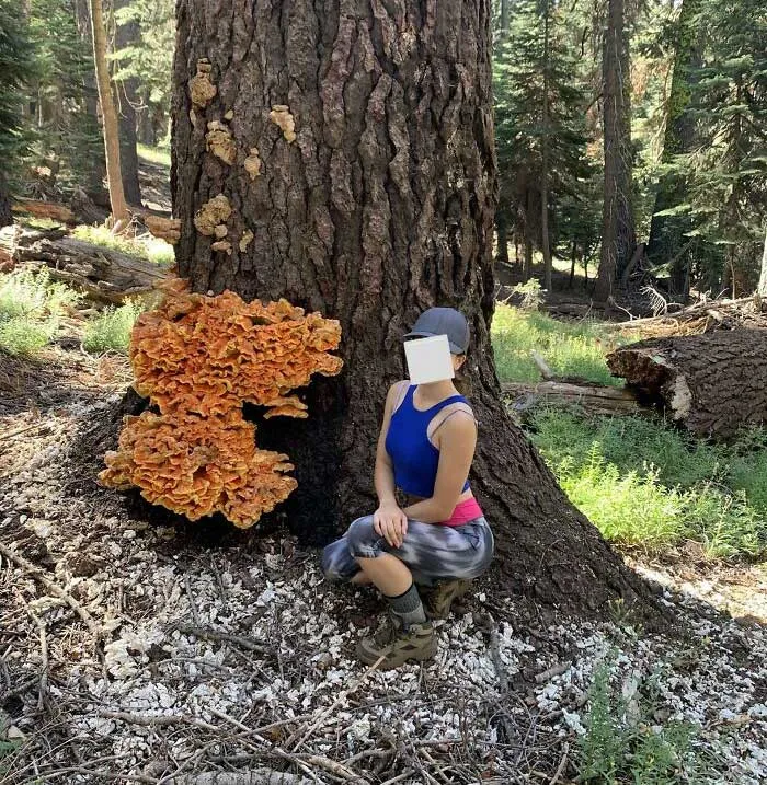 Happy To Have Stumbled Across This On A Recent Hike