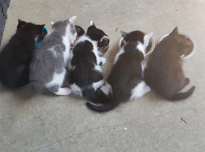 Our Long-Term MHNMC Had Some Babies