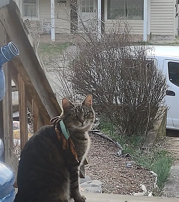 This Is Newton