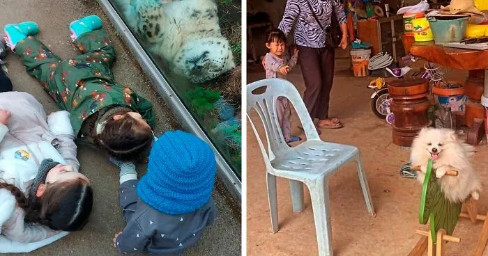 50 Hard To Explain But Impossible Not To Love Animal Pics, As Shared By This IG Page (New Pics)