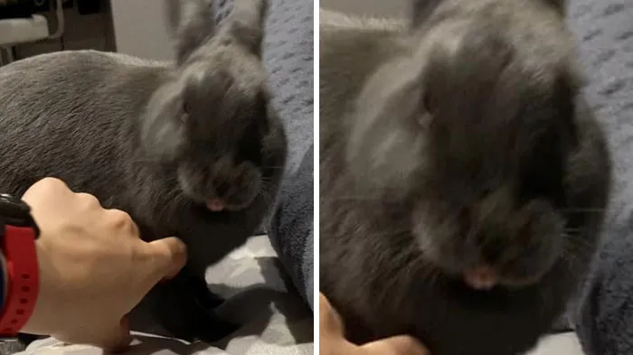 ¡Dije que no me toques, mamá!
