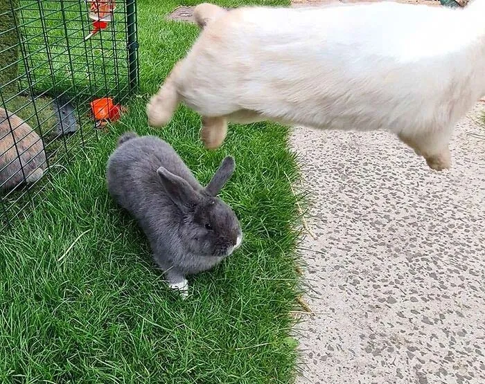 Cuando tu esposa no quiere salir en la foto