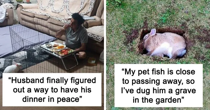 50 Memes And Jokes About Bunnies That Show They're Not As Sweet And Innocent As They Look