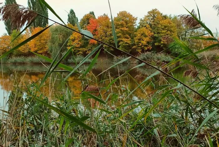 The Colours Of Autumn In Warsaw, Poland