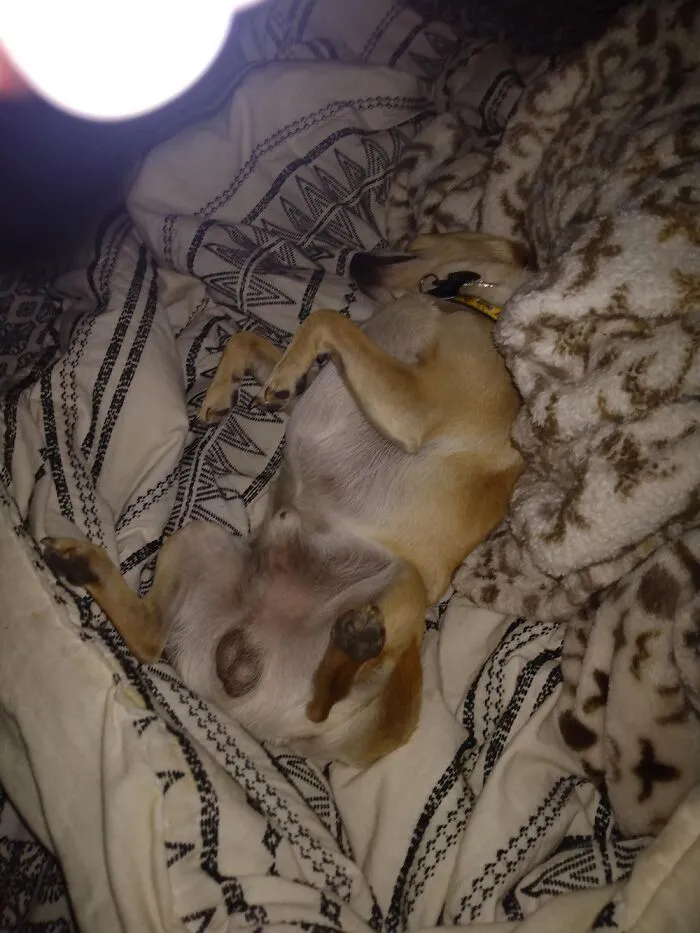 Sooo Tired